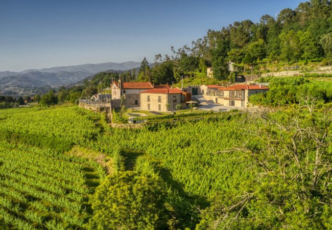 Farm stay in Ponte da Barca - Valley Springs Houses - Terroir Treetop Cottage