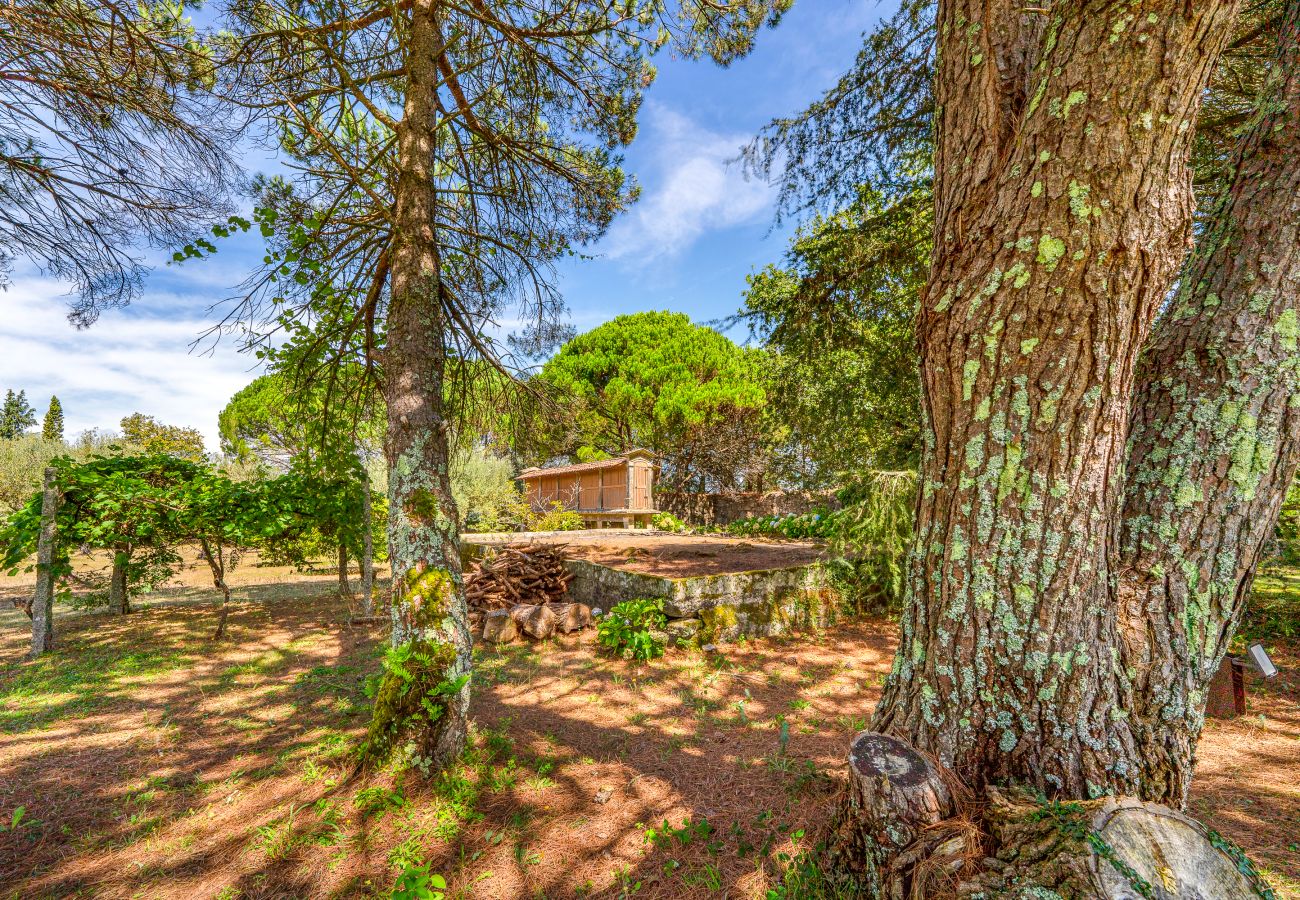 Country house in Viana do Castelo - Portugal Active Oliveira's Farm